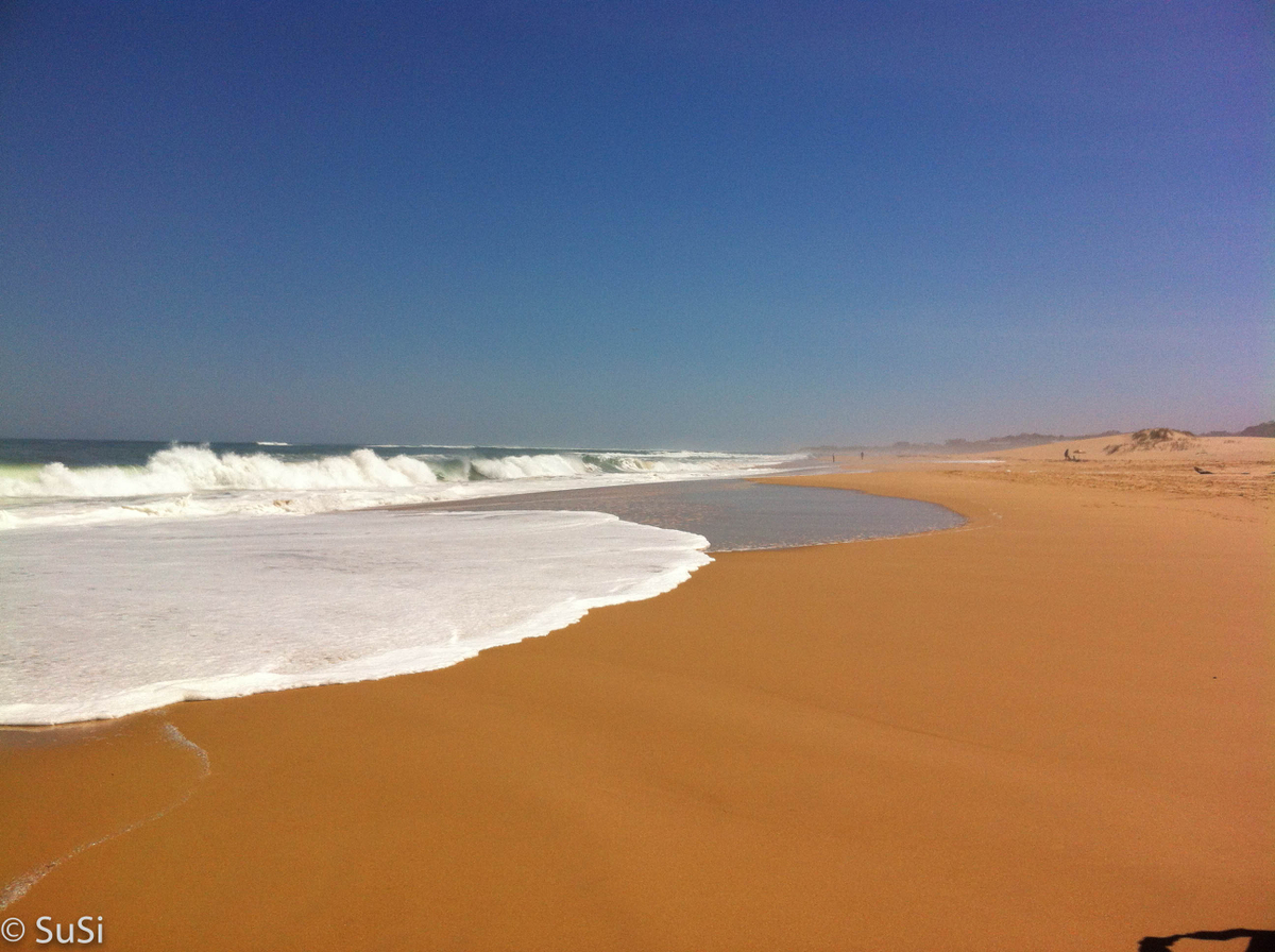 Strand von Port Alfred