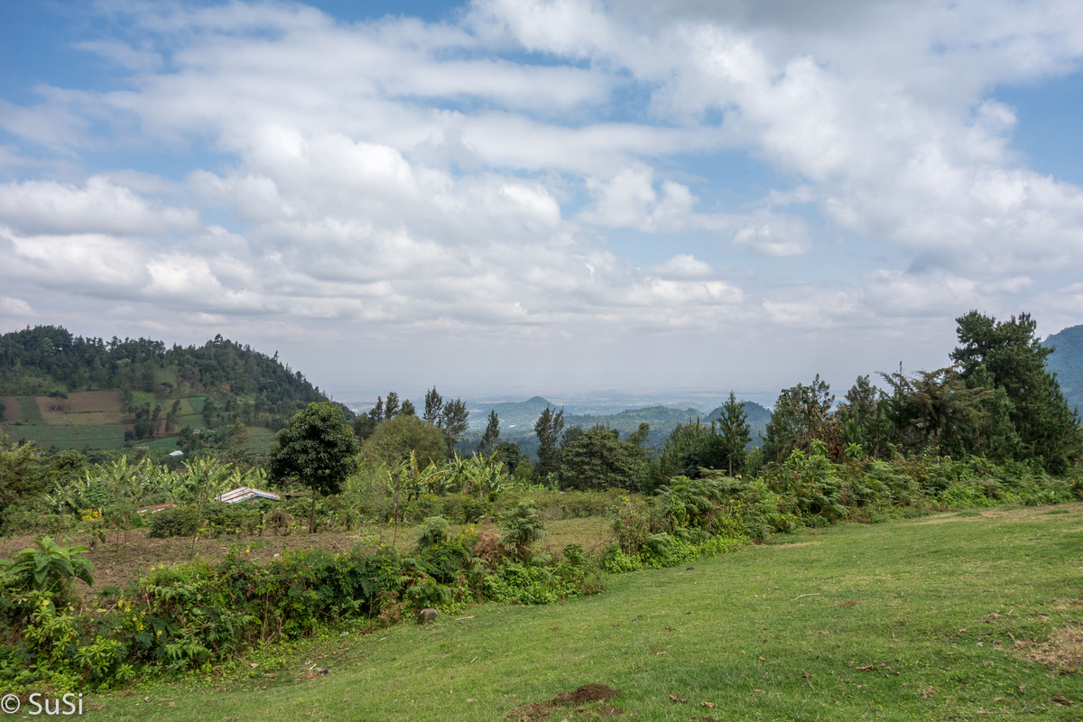 Ausblick vom Picknickplatz