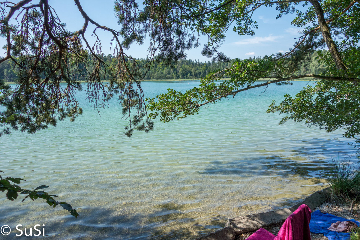 Fohnsee - toller Badestop am Campingplatz