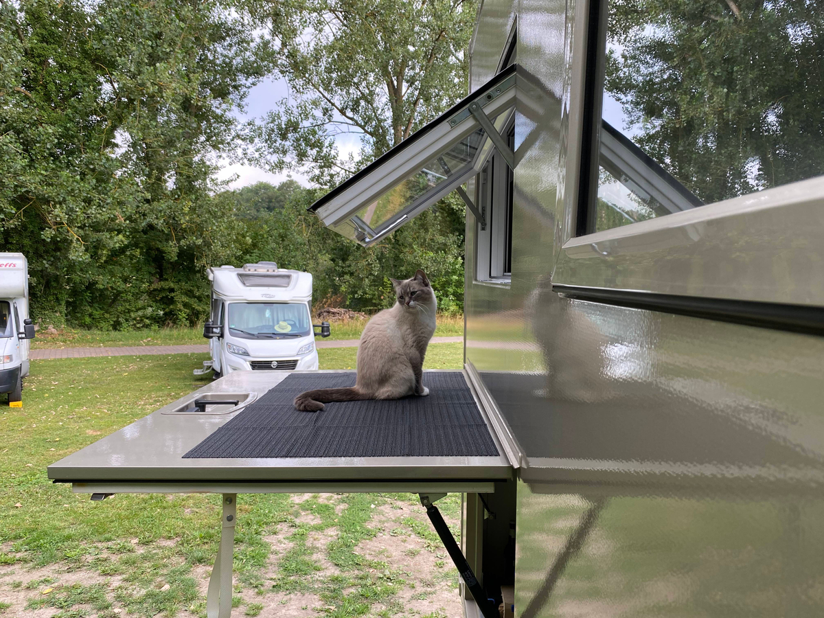 Katze im Wohnmobil