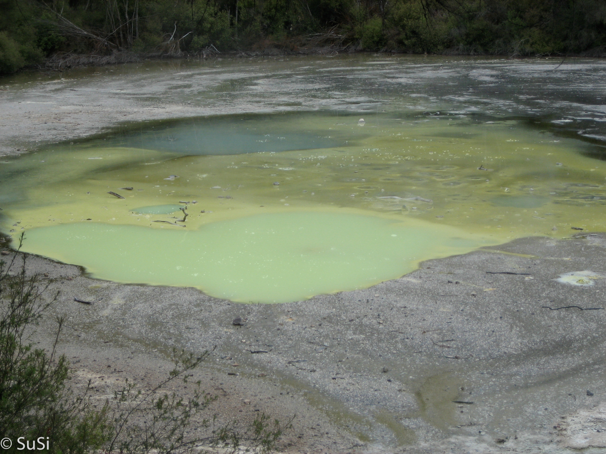 Waiotapu Thermal Reserve und Waimangu Vulcan Valley