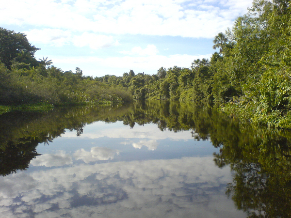 Orinoco Delta